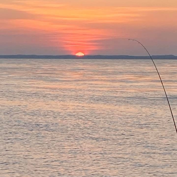 Meet your Posher, Rod - Picture 1 of 1